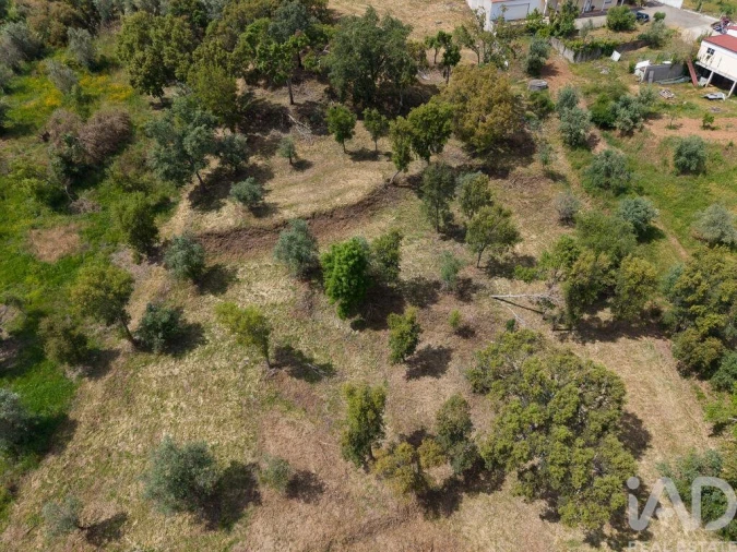 Terreno para Venda em Casais e Alviobeira Foto 21
