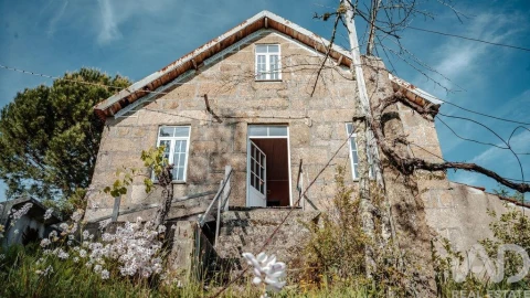Terreno para Venda em Carvalhais e Candal