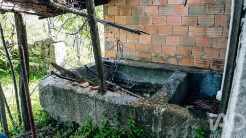 Terreno para Venda em Carvalhais e Candal