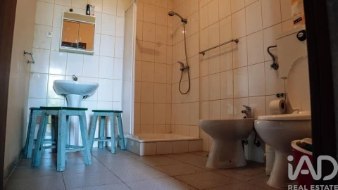 Terreno para Venda em Carvalhais e Candal