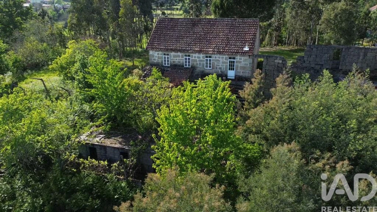 Terreno para Venda em Carvalhais e Candal Foto 28