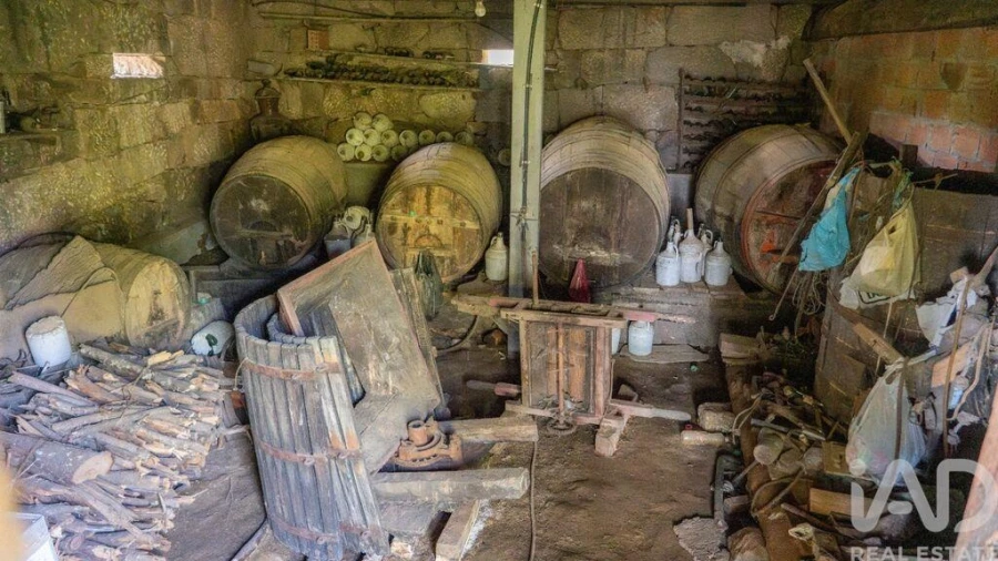 Terreno para Venda em Carvalhais e Candal Foto 24