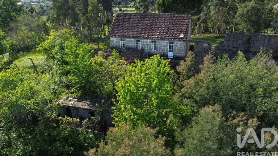 Terreno para Venda em Carvalhais e Candal Foto 28