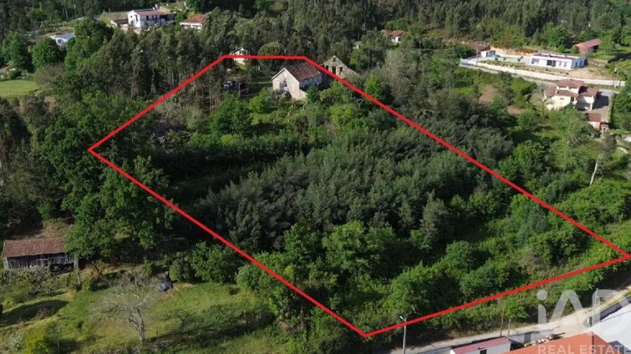 Terreno para Venda em Carvalhais e Candal Foto 29