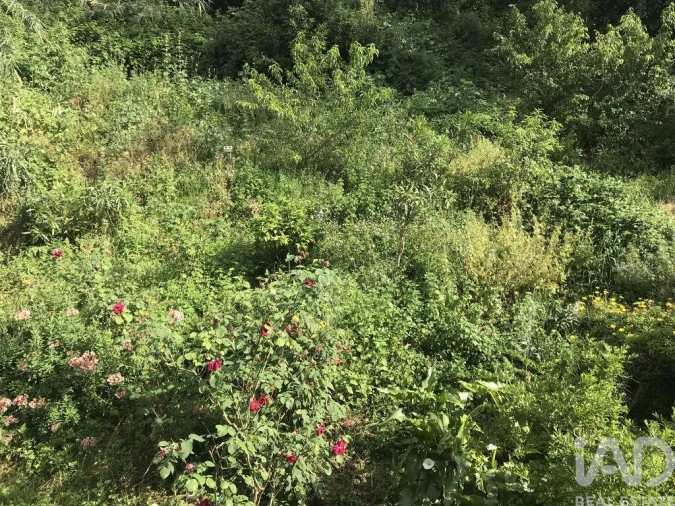 Apartamento T2 para Venda em São Martinho do Bispo e Ribeira de Frades Foto 32