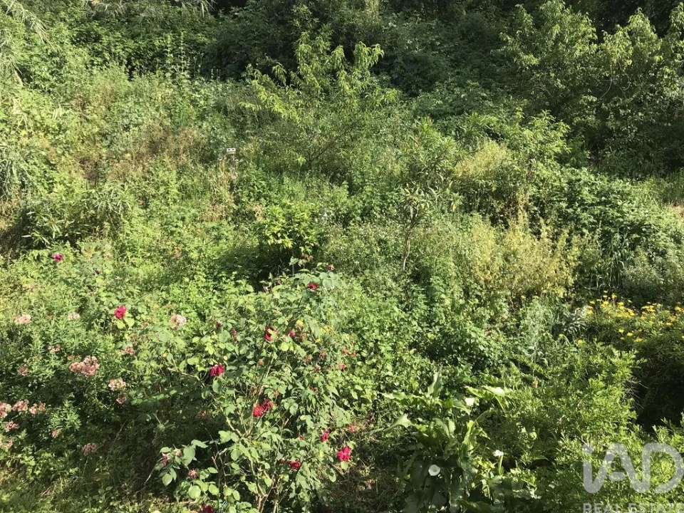 Apartamento T2 para Venda em São Martinho do Bispo e Ribeira de Frades Foto 32