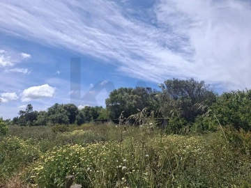 Terreno para Venda em Vila do Bispo e Raposeira
