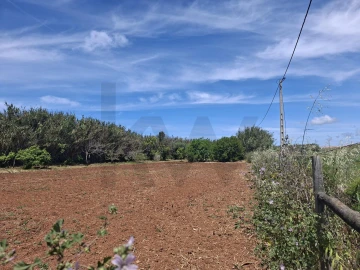 Terreno para Venda em Vila do Bispo e Raposeira