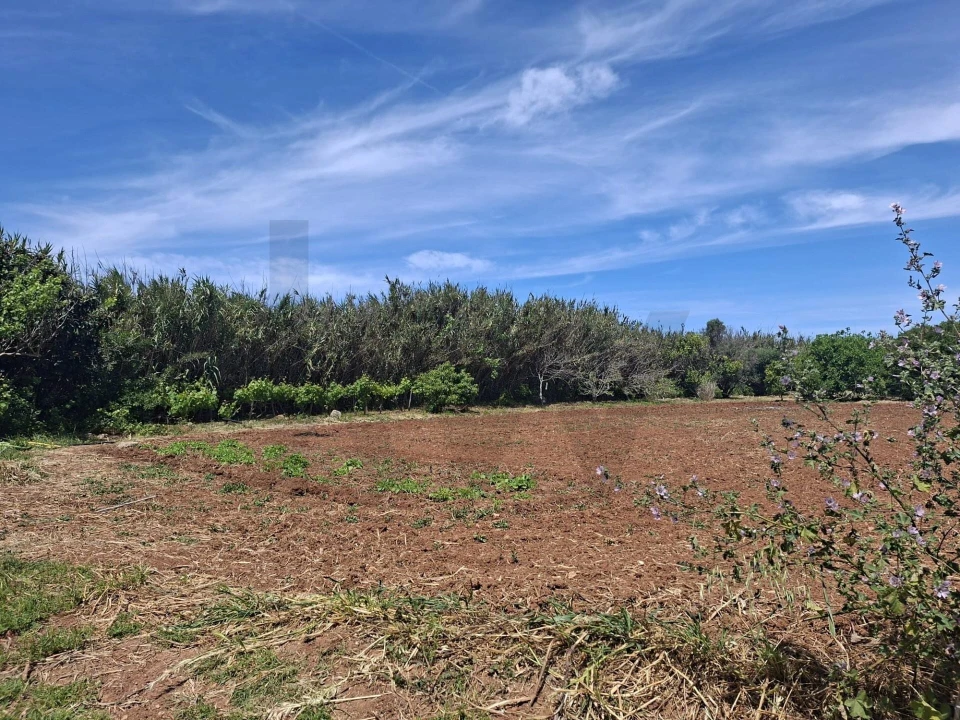 Terreno para Venda em Vila do Bispo e Raposeira Foto 8