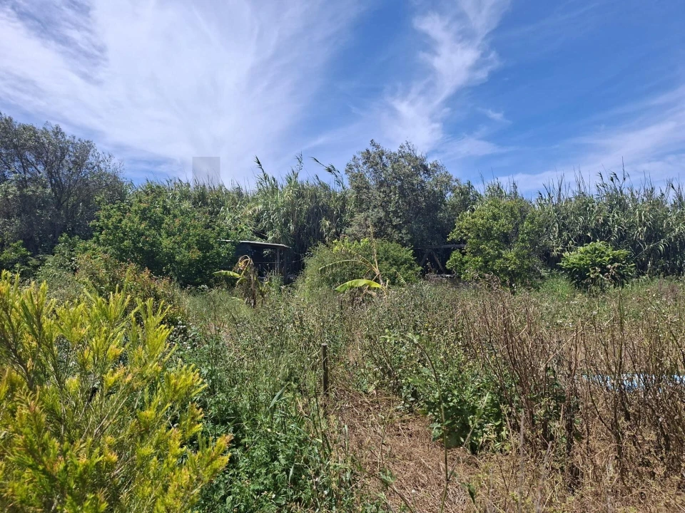 Terreno para Venda em Vila do Bispo e Raposeira Foto 6