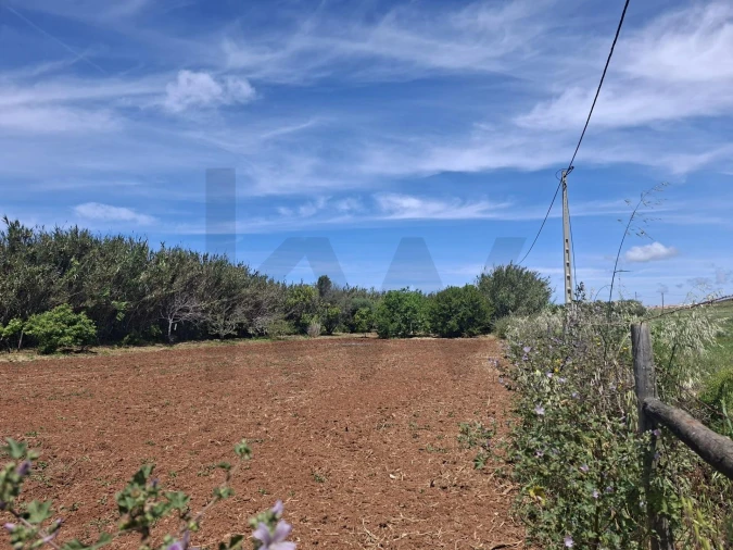 Terreno para Venda em Vila do Bispo e Raposeira Foto 12