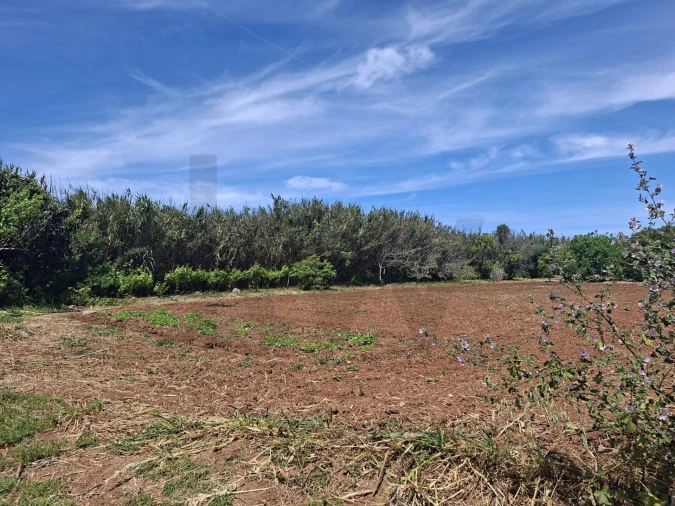 Terreno para Venda em Vila do Bispo e Raposeira Foto 8