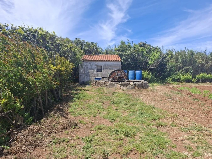 Terreno para Venda em Vila do Bispo e Raposeira Foto 14