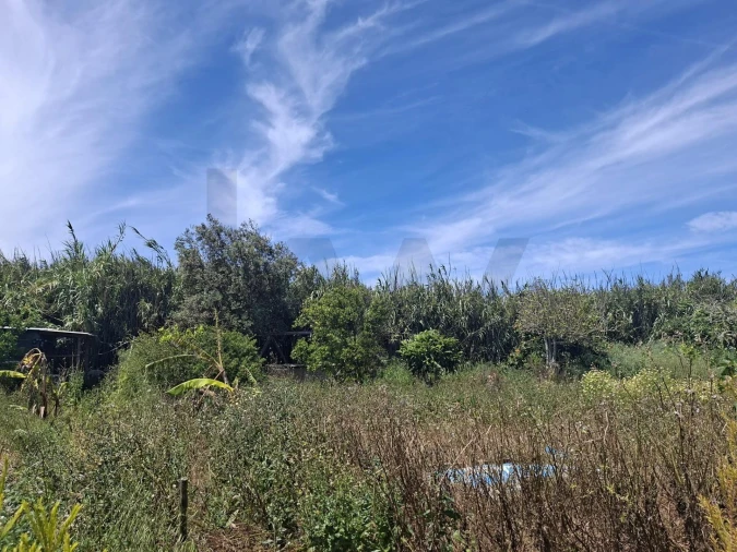 Terreno para Venda em Vila do Bispo e Raposeira Foto 3