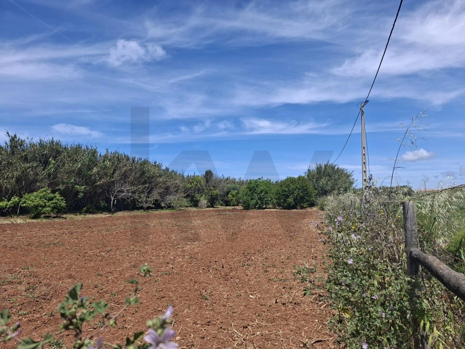 Terreno para Venda em Vila do Bispo e Raposeira Foto 11