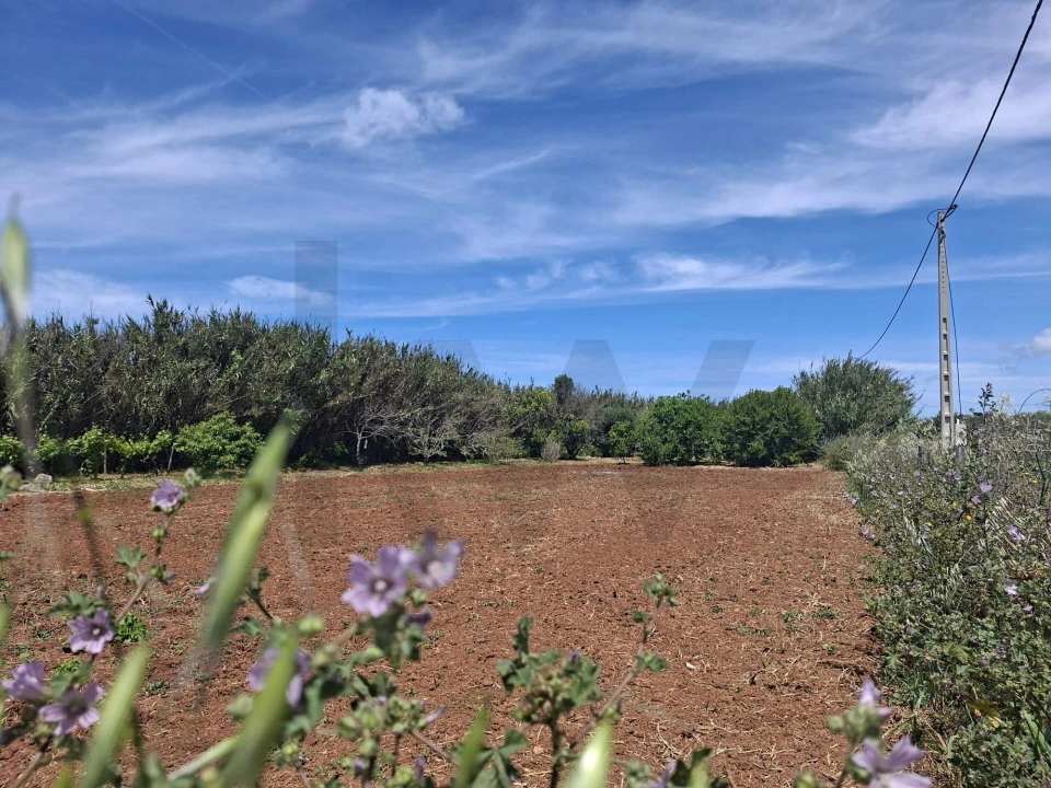 Terreno para Venda em Vila do Bispo e Raposeira Foto 13
