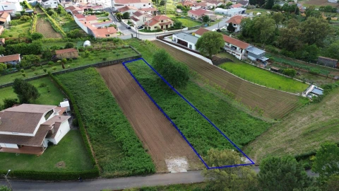 Terreno para Venda em Branca