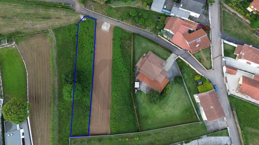 Terreno para Venda em Branca Foto 8