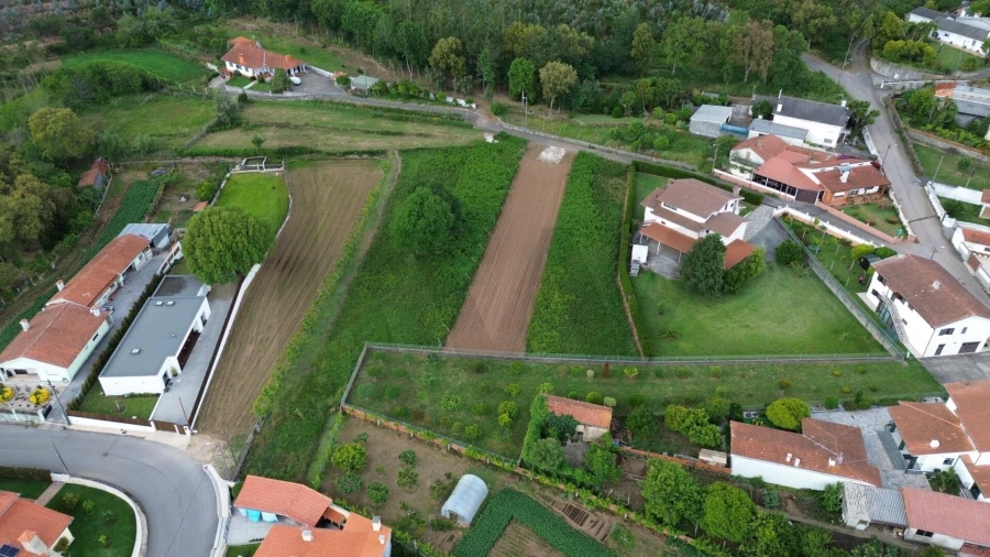 Terreno para Venda em Branca Foto 7