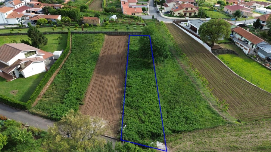 Terreno para Venda em Branca