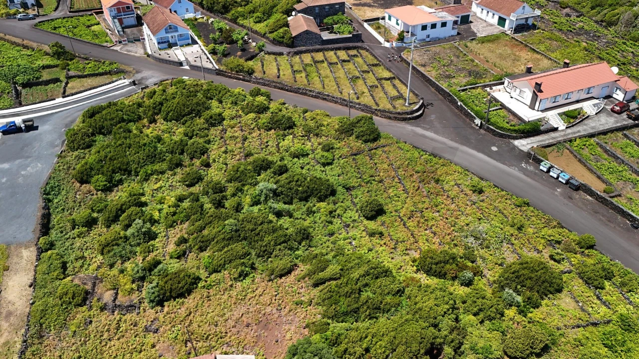 Terreno para Venda em Piedade Foto 8