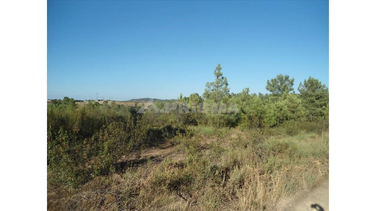 Terreno para Venda em Benquerenças Foto 5