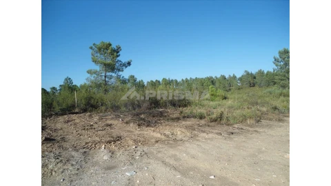 Terreno para Venda em Benquerenças