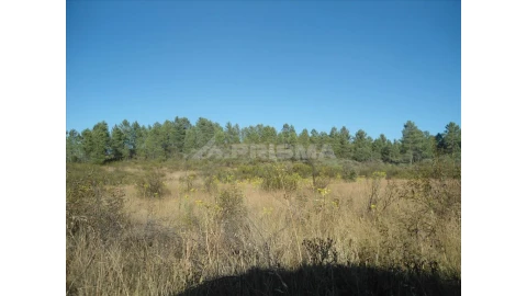Terreno para Venda em Benquerenças