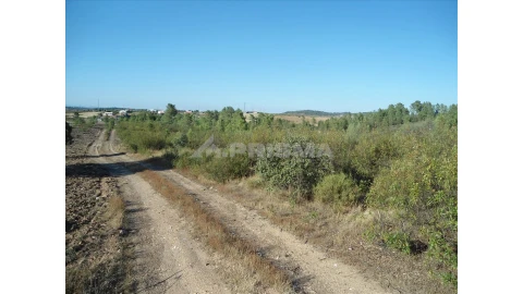 Terreno para Venda em Benquerenças