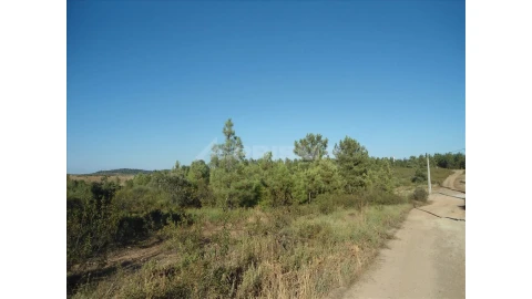 Terreno para Venda em Benquerenças