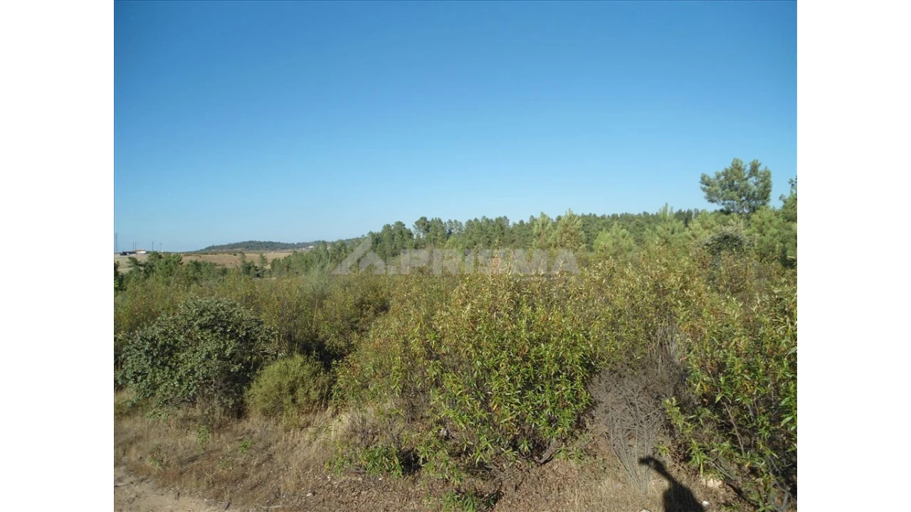 Terreno para Venda em Benquerenças Foto 1
