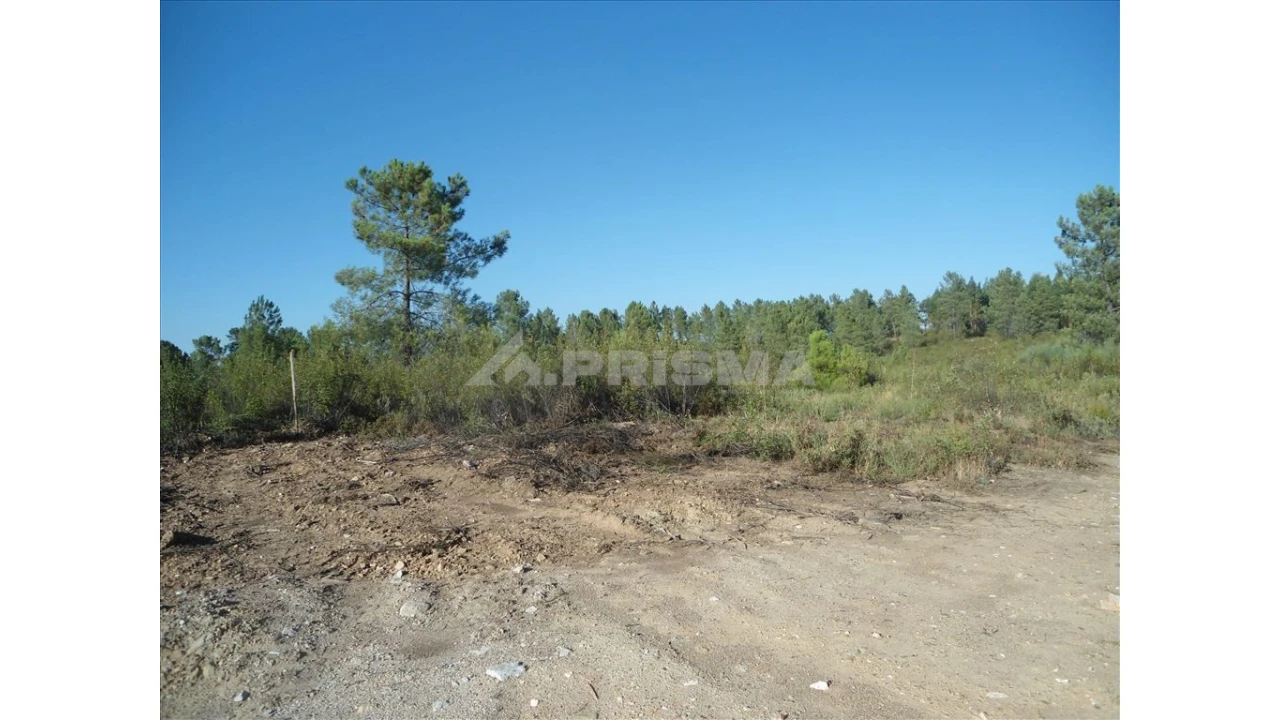 Terreno para Venda em Benquerenças Foto 6