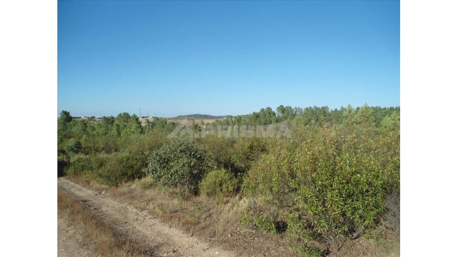 Terreno para Venda em Benquerenças Foto 3