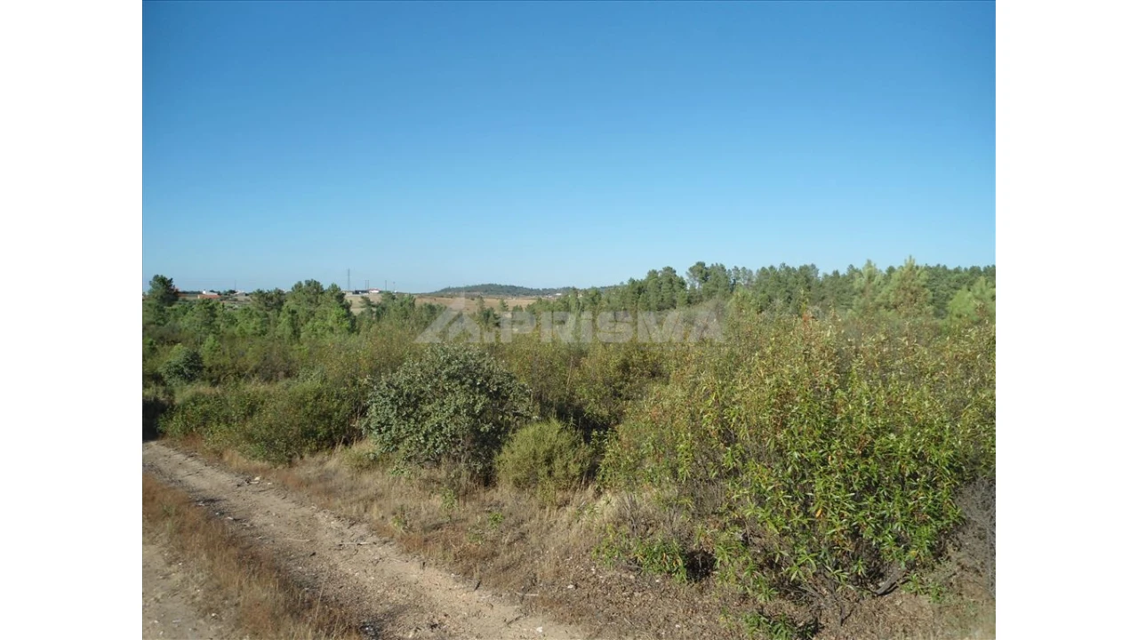 Terreno para Venda em Benquerenças Foto 3