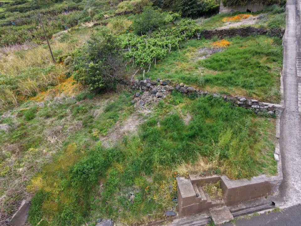 Terreno para Venda em Arco da Calheta Foto 19