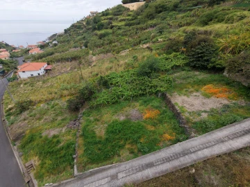 Terreno para Venda em Arco da Calheta