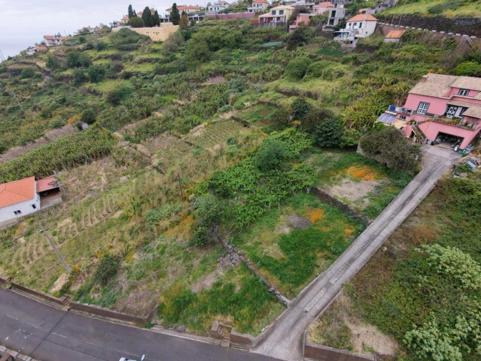 Terreno para Venda em Arco da Calheta Foto 14