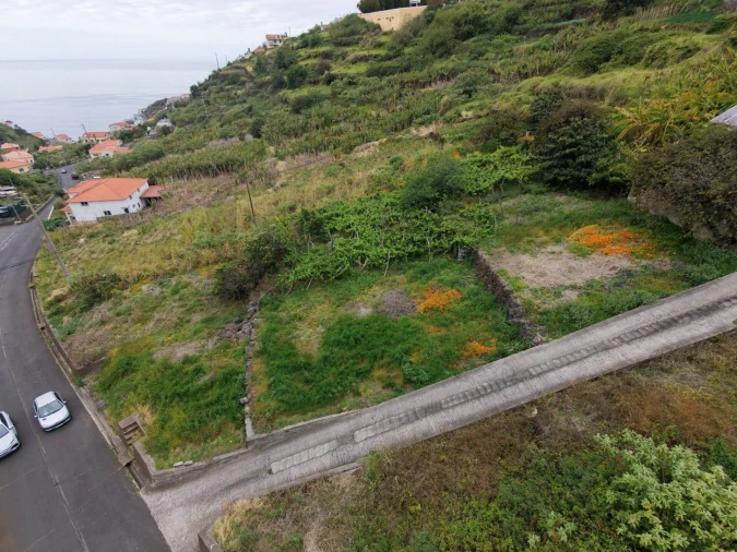 Terreno para Venda em Arco da Calheta Foto 11
