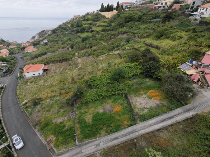 Terreno para Venda em Arco da Calheta Foto 15