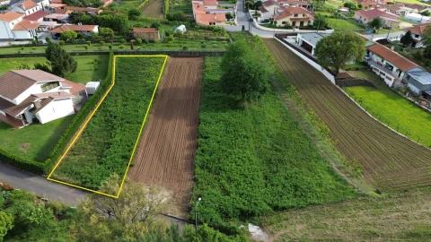 Terreno para Venda em Branca