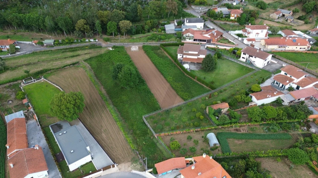 Terreno para Venda em Branca Foto 8