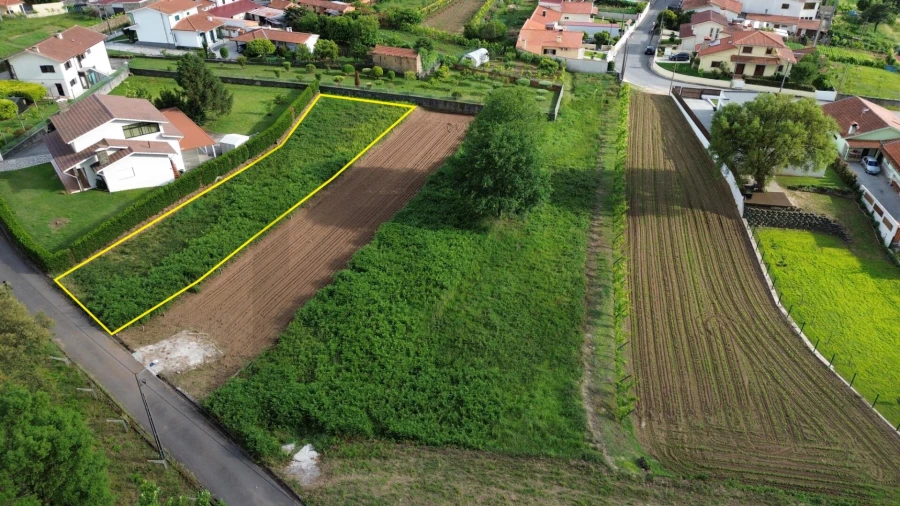 Terreno para Venda em Branca Foto 3