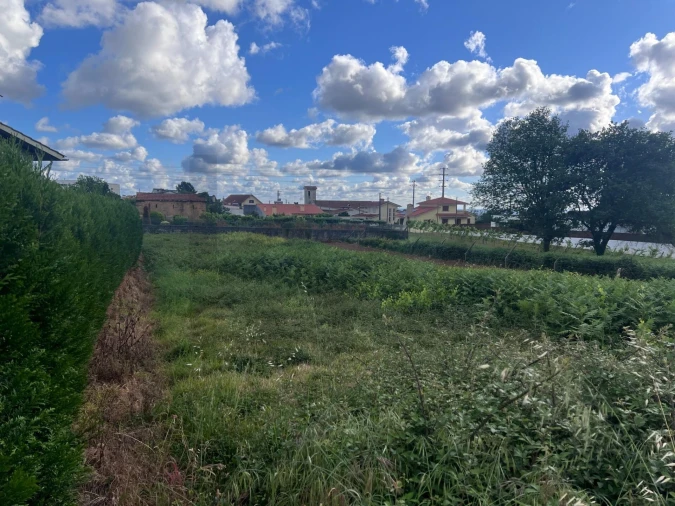 Terreno para Venda em Branca Foto 19