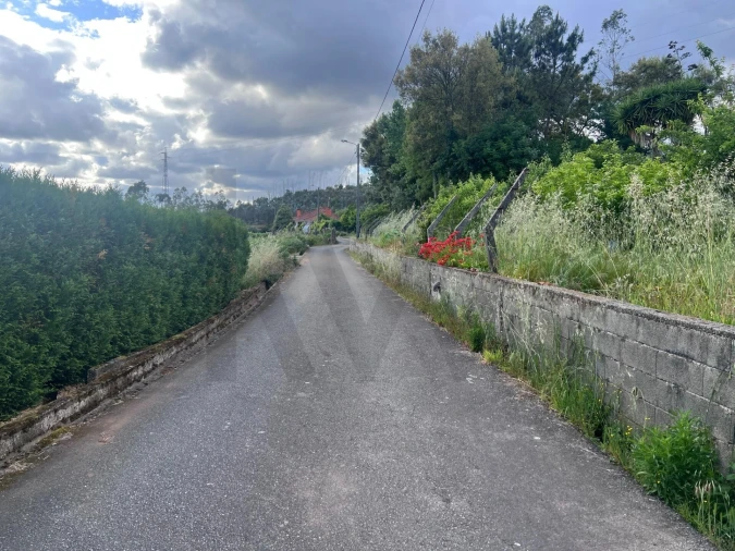 Terreno para Venda em Branca Foto 21