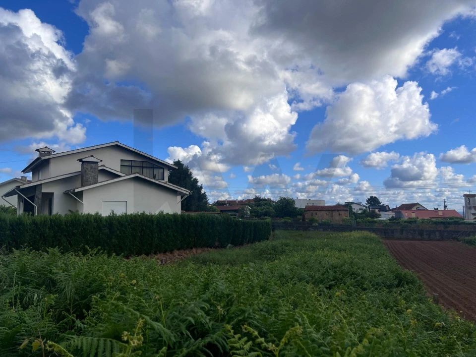 Terreno para Venda em Branca Foto 20