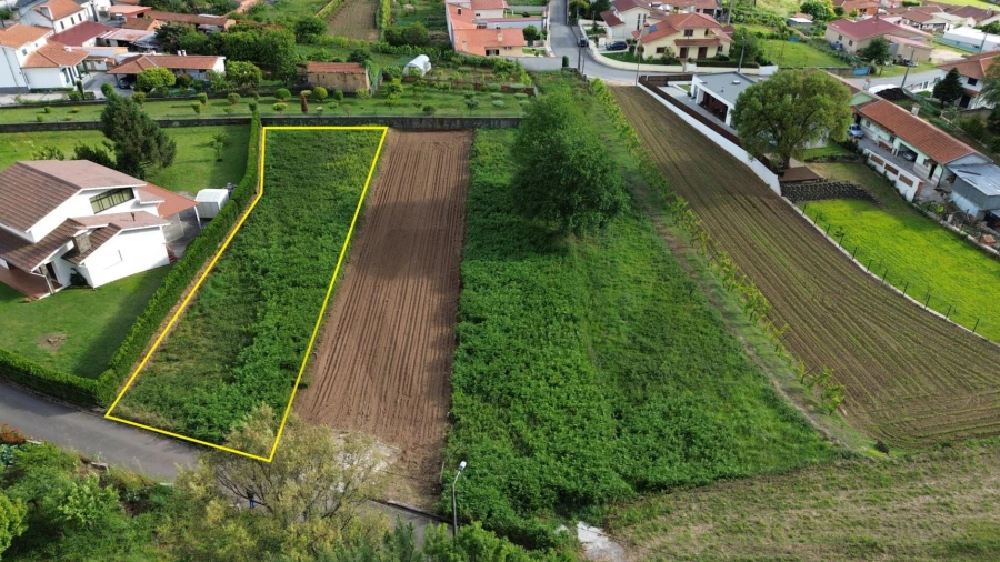 Terreno para Venda em Branca