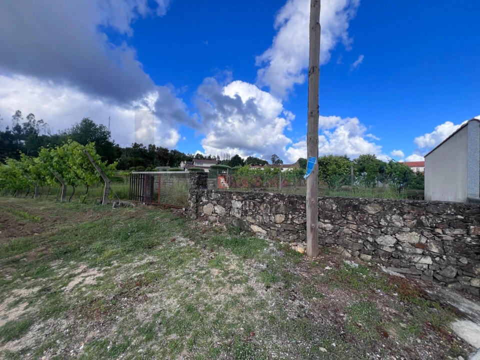 Terreno para Venda em Branca Foto 20