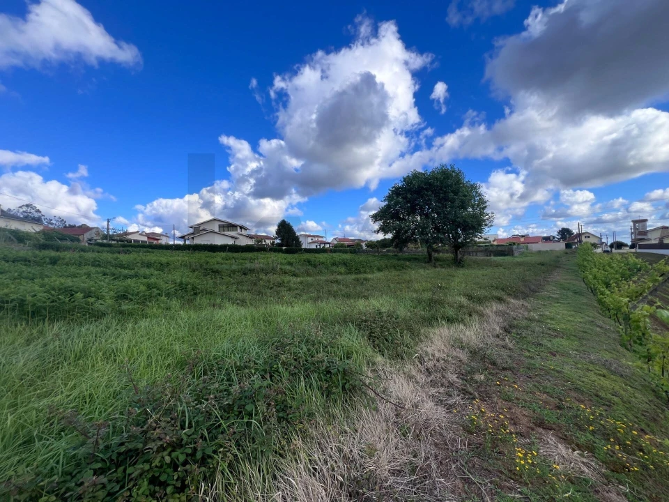 Terreno para Venda em Branca Foto 28