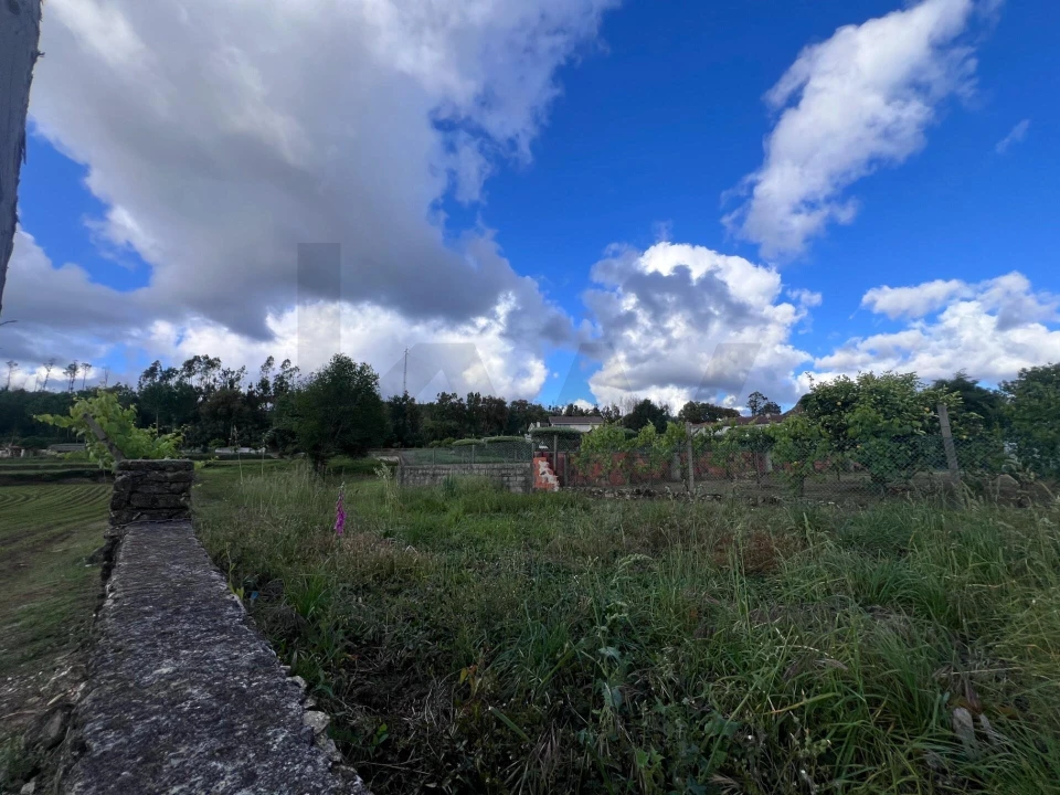 Terreno para Venda em Branca Foto 23