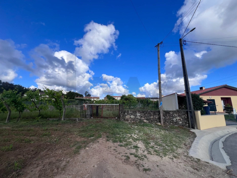 Terreno para Venda em Branca Foto 19